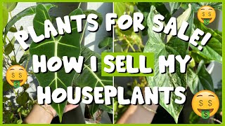 How to SELL Houseplants! | Talking through the ENTIRE process...