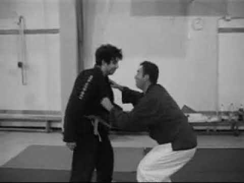 4.6 - KOTO RYU TAIJUTSU - KOPPO JUTSU - Chuden no kata-  Hitto no kata