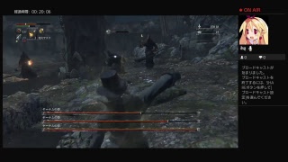 bloodborne　RTAの練習
