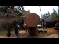 PNW18 Gtg Poulan 5200 Pipe Saw Rev Angle
