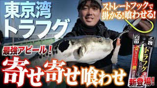 【東京湾】トラフグ開幕！新登場「寄せ寄せ喰わせ」でシーズン序盤の東京湾トラフグ完全攻略！