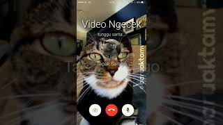Download lagu BARUAK TAMVAN - KATIKO VIDEO CALL SAMO AMAK DIKAMPUANG mp3