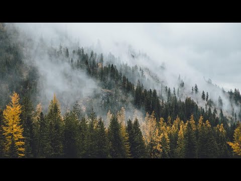 Melodic techno/house mix 2022 (Colyn, Jan Blomqvist, EarthLife...)