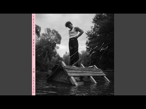 Danke Dass Du Nicht Aufhörst Mich Zu Lieben - Tristan Brusch