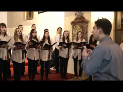 Zbor Allegro -Ej, vapore