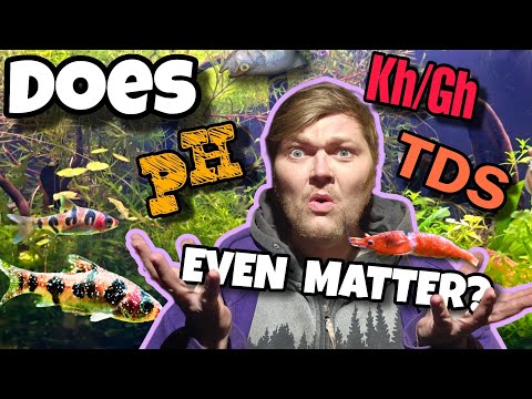 PH, Gh, Kh & TDS: What Every Shrimp & Fishkeeper Needs to Know: Water Parameters Made Simple & Easy!