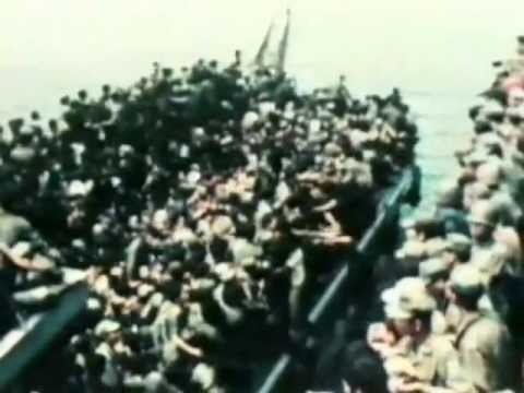 Ofensiva y rendición. 11- NAM la guerra de los 10.000 días. Guerra de Vietnam.