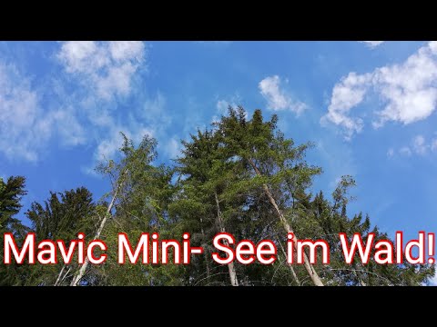 Mavic Mini- über die Wälder/ freie Sicht- Berge auf der suche nach einem See
