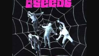 The Seeds - Pictures And Desings