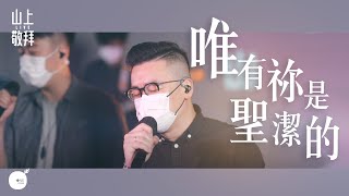 唯有祢是聖潔的