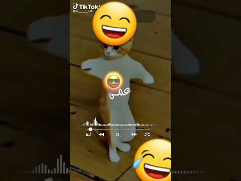 مدمت كملوه