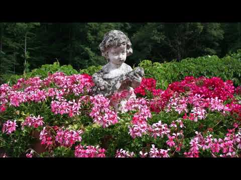 Découverte des Gîtes et Chambres d'Hôtes "La Landre" au cœur de la forêt Vosgienne à Bains les Bains (La Vôge les Bains)