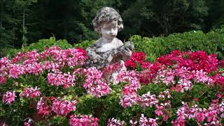 Miniature de la vidéo