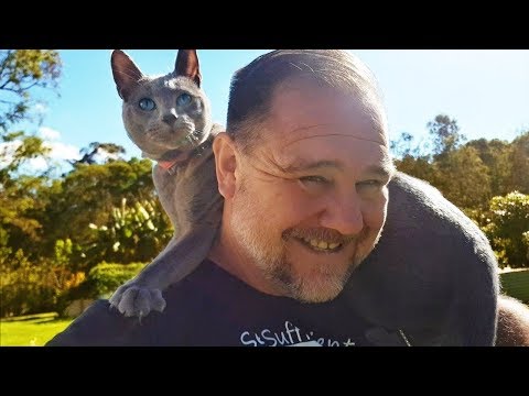 Why We Walk Our Cat in the Garden
