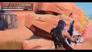 フォートナイト  パラダイスパームズ近くの射的５点クリア