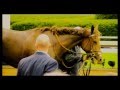 Say you'll never let me go. (BREEDERS CUP 2015 ...