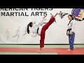Blue Belt Form
