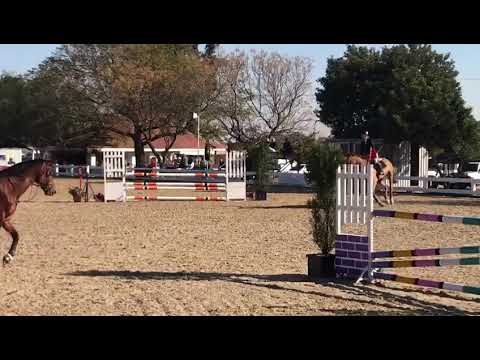 Last Rudhirá FH: First 115cm A2 Speed Class KPC Show 2018