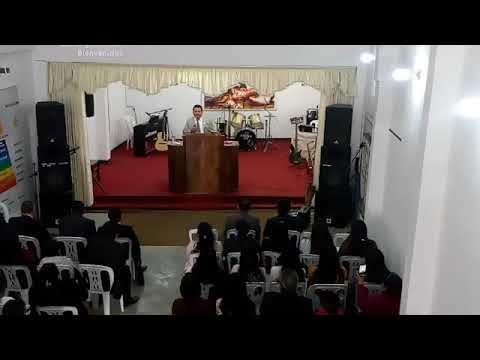 2018-08-05 "La Restauración del Árbol Novia" - Hno. Jorge Scabarrozzi Ch.