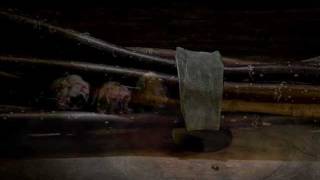 Perry Blake "Still life", So long