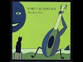 ~ Robyn Hitchcock ~ Shadow Cat