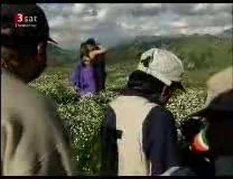 bollywood im alpenrausch 1