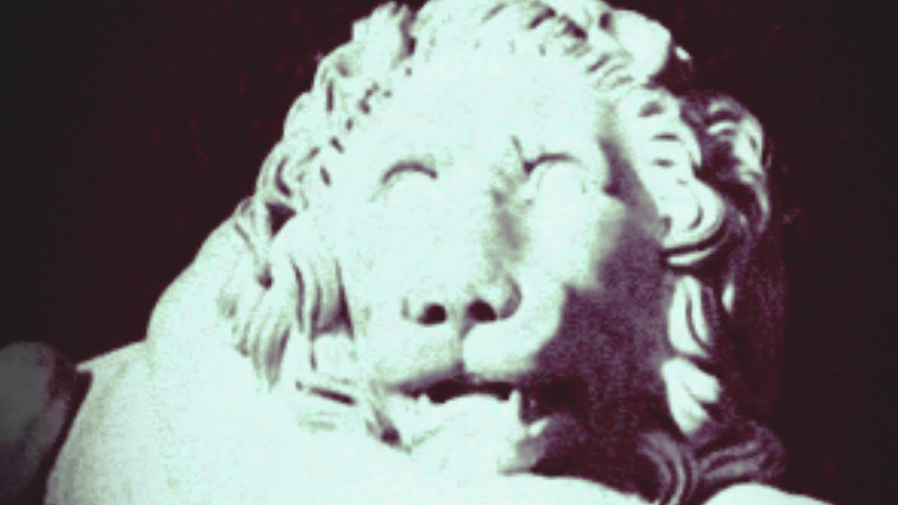 The Freeze - Loading Zone (Official Freeze Criminal Fetus Video) March 2019