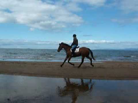 Emma and Oisin at the beach