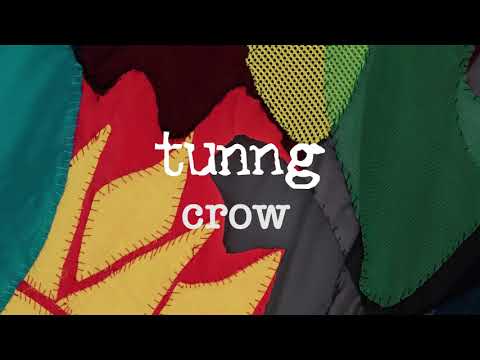 tunng - crow [Official Audio]
