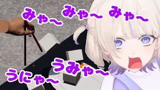 豆腐と戯れる猫(ばんちょー)【ホロライブ切り抜き/轟はじめ】