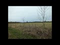 Midwest Emo Shoegaze Playlist