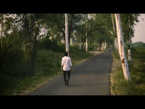 The Forest Held My Pain — Until Spin to Win Gave Me Back My Family