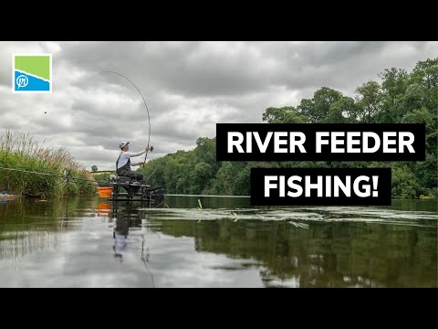 River Feeder Fishing!