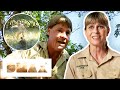 Steve Irwin Gets Attacked By Vicious Komodo Dragon Crocodile Hunters The Best Of Steve Irwin