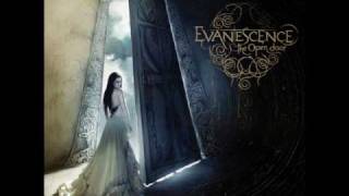 Evanescence - Lose Control