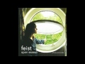 Feist - One Evening (VV Mix) 