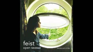 Feist - One Evening (VV Mix)