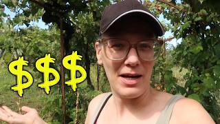 How much money did the garden save us in February?