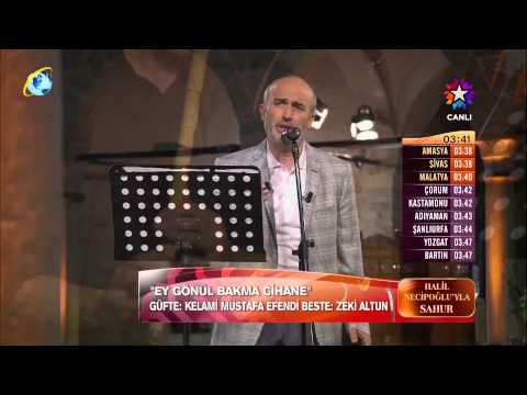 Halil Necipoğlu - Ey Gönül Bakma Cihane