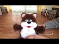 Meet Koby The Interactive Bear