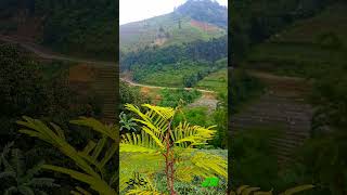 Download lagu Al Qiyamah - Muhammad Thaha Al Junayd #Shorts #Murottal mp3 Download lagu Al Qiyamah - Muhammad Thaha Al Junayd #Shorts #Murottal mp3