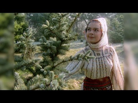 „Bradule, dragule”, cu Floarea Calotă, la TVR1