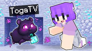 Download lagu Chicken Toad Becomes Hamster Ender in Minecraft! mp3