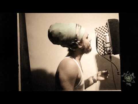 V-Lux Sound Feat. ILEMENTS  "Dem a Suffa Special"