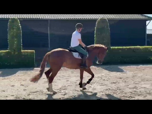 Oya flatworkvideo