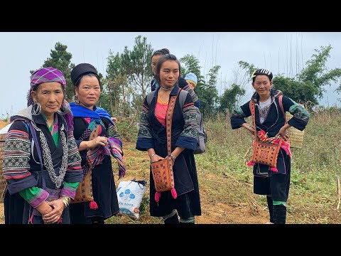 Exploring the Hmong communities of North Vietnam 🇻🇳