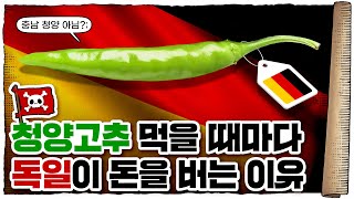 💀 씨앗🌱도 자원이다… 인류의 미래가 걸린 ‘종자 전쟁’!  / 💀 식물에도 저작권이 있다고?