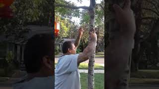 Part 2 HAMGING A HUMMINGBIRD NECTAR BOTTLE