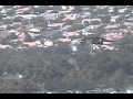 Fire fighting helicopters dipping water from Lake Elsinore