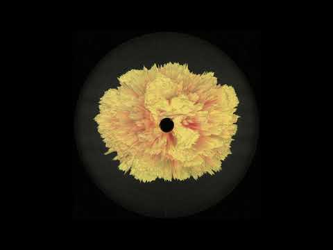 Adam Nahalewicz - Just Like [FPR010]